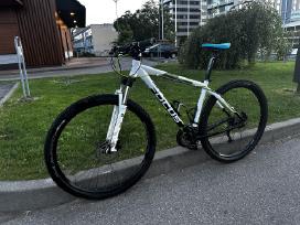 Dviratis Focus Black Forest MTB 29