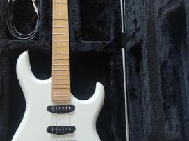 Gitara Cort G254