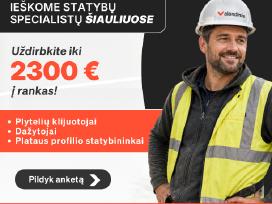Ieškome statybų specialistų Šiauliuose
