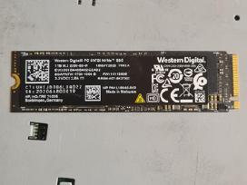 Wd black