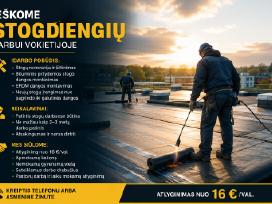 Ieškome stogdengių darbui Vokietijoje