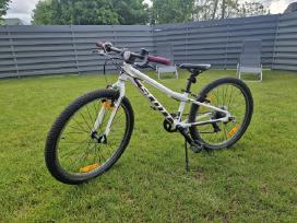 Dviratis Scott Contessa 24 colių