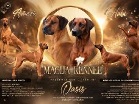 Rodezijos Ridžbekas