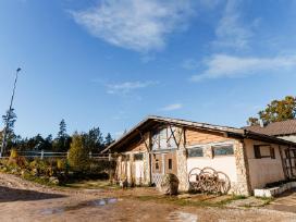 Gardų žirgams nuoma