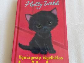 Ugniagesių išgelbėtas kačiukas