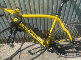 Pinarello dogma 65.1 thinks
