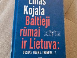 Linas Kojala „Baltieji rūmai ir Lietuva“