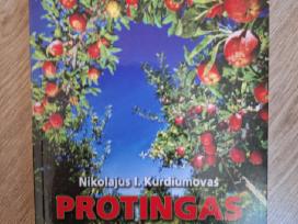 Protingas sodas