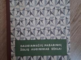 Daugiamečių pašarinių žolių auginimas sėklai