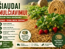 Šiaudai kraikui arba mulčui