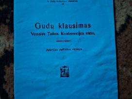 Gudų klausimas Versalės Taikos Konferencijos metu“