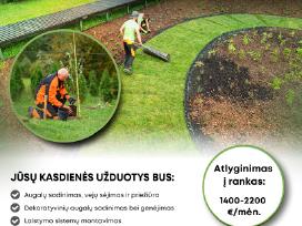 Darbuotojai apželdinimo darbams