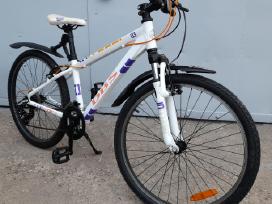 Dbs Intruder 24"