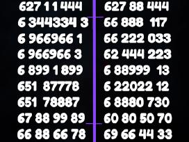 Gražus VIP numeris už 40€