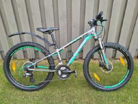 Cube race 240 disc