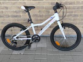 Kross 20"