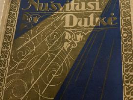 1933m. Nušvitusi dulkė