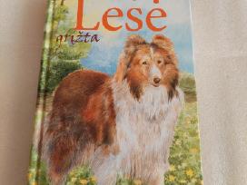 Lesė grįžta