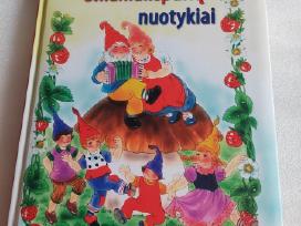 Nykštukų Smailiakepurių nuotykiai