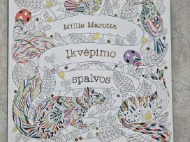 Knyga Millie Marotta Įkvėpimo spalvos