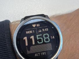 Fenix 6s