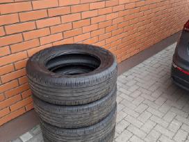 Vasarinės Continental Ecocontact 6