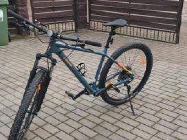 Bergamont revox 6 su 29 colių ratais ir L dydis