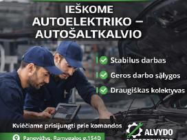 Reikalingas, autoelektrikas-automechanikas