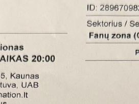 2 bilietai į Pitbull (Fanų zona)