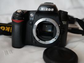 Nikon D80, 10/10