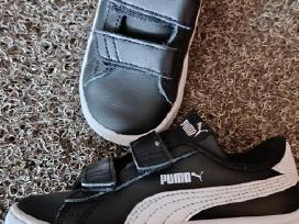 Puma kedai 26 dydžio 16cm
