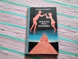 Rugiuose prie bedugnės Džeromas Selindžeris