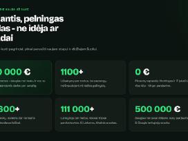 Pelningas el. prekybos verslas - 12 metų istorija,