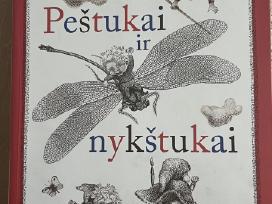 K. Saja "Pestukai ir nykstukai"