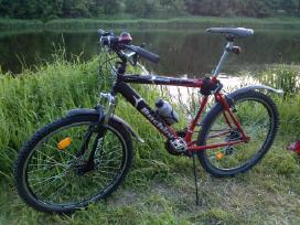 Dviratis kalnų MTB 26"