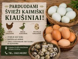 Vištu ,ančiū,putpeliu kiaušiniai.