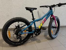 Dviratis 20 Bergamont Bergamonster 20 Plus 2025