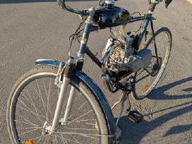 Motorinis dviratis keturtaktis 50cc Senator