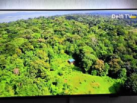 43 Philips su ambilight 3, naujas