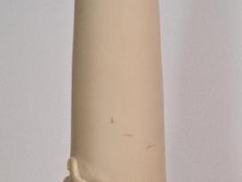 Dekoratyvinis ragas.
