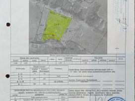 Žemė sklypas prie Dubysos upės vingio