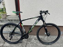 Rock machine torrent XL 29 kalnu dviratis