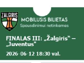 Žalgiris–juventus 06-12, 3 rungtynės