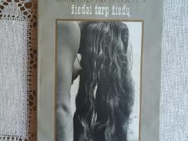 R.dichavičius Žiedai tarp žiedų