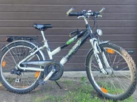 Dviratis Pegasus Avanti GT
