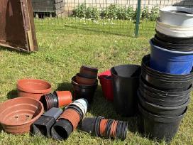 Įvairių dydžių plastikiniai vazonai
