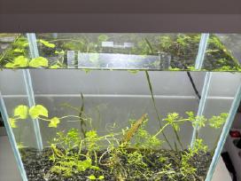Naudoti akvariumai bei priedai jiems
