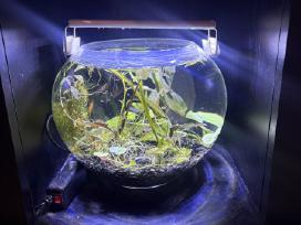Naudoti akvariumai bei priedai jiems
