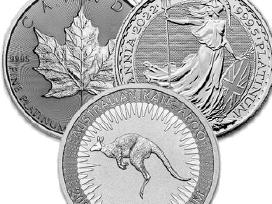 Perku investicinę platiną 999 prabos