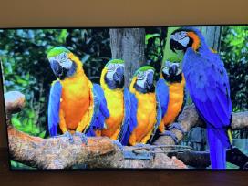 LG Oled55g13la Oled 4k 120hz Gaming Youtube Go3